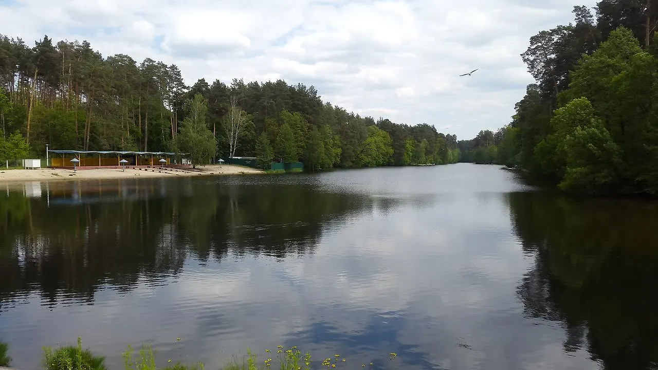 Park Puscha Sauna Deluxe Apartment & Terrace Kyiv Ukraine